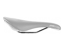 Fizik Aliante Gamma 2010