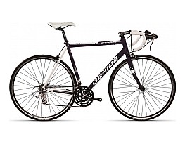 Gepida Bandon 810 2012