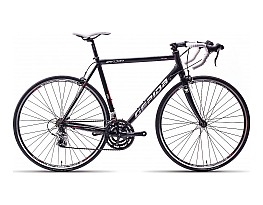 Gepida Bandon 810 2013