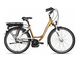 Gepida Reptila 900 Bosch 2012