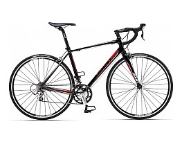 Giant Defy 2 2012