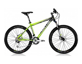 Kellys Salamander 2012