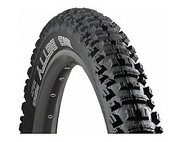 Schwalbe Big Betty 2010