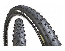 Schwalbe Rocket Ron 2010