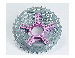 Sram PG-990 2010