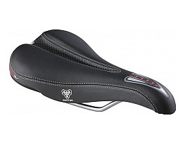 WTB Speed V Comp 2010