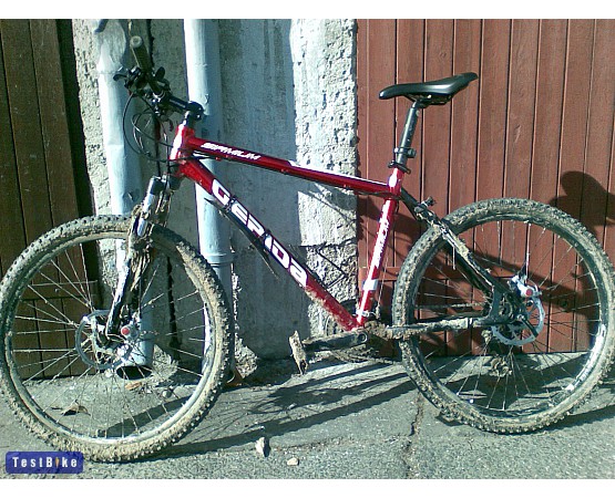 Gepida Sirmium 2010, vtamas87 k�pe mtb