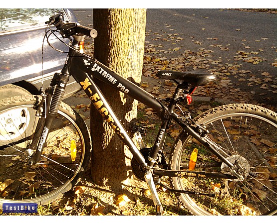X-Fact Extreme Pro 2010, Brotkoo k�pe mtb