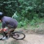 WheelerRider avatar