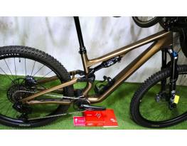 10.22ig 1,55M! 0km 2025 Specialized SJ S15 Carbon FOX 36 AXS