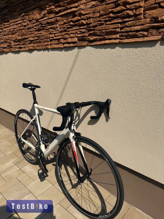 13 Bikes Alpha Carbon