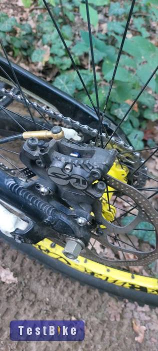 Downhill YT Tues Industries 2.0 limited edition