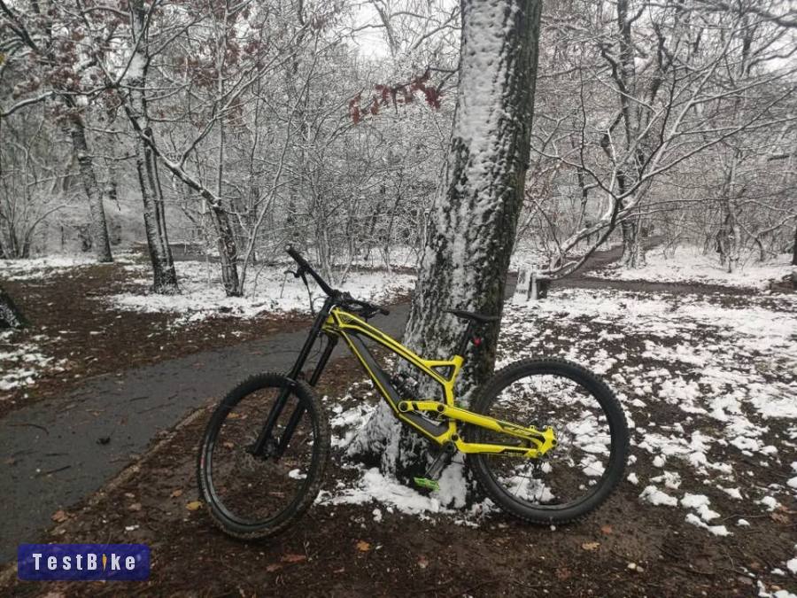 2017 YT Tues CF (L)