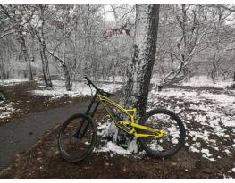 2017 YT Tues CF (L)