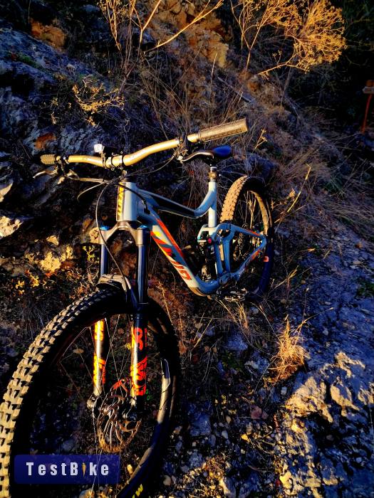 2018 Giant Reign 1.5 L 
