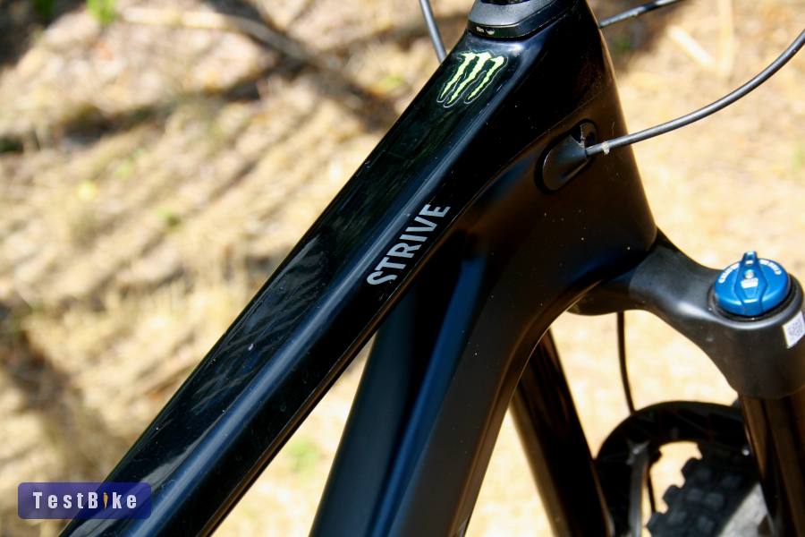 2021 Canyon Strive CF8.0 29"