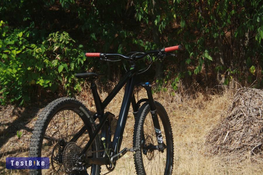 2021 Canyon Strive CF8.0 29"