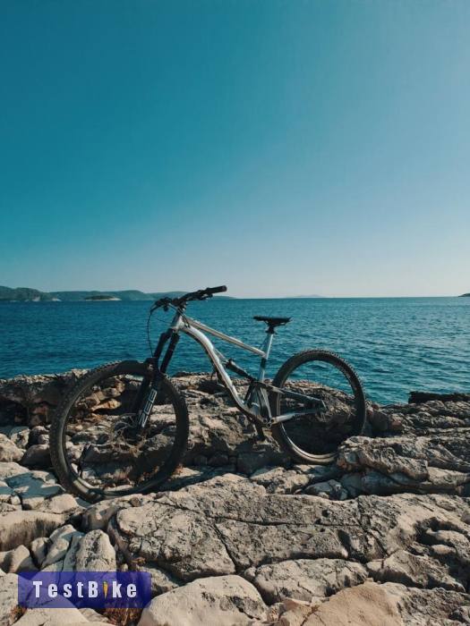 2021 Kellys thorx 10 L 29