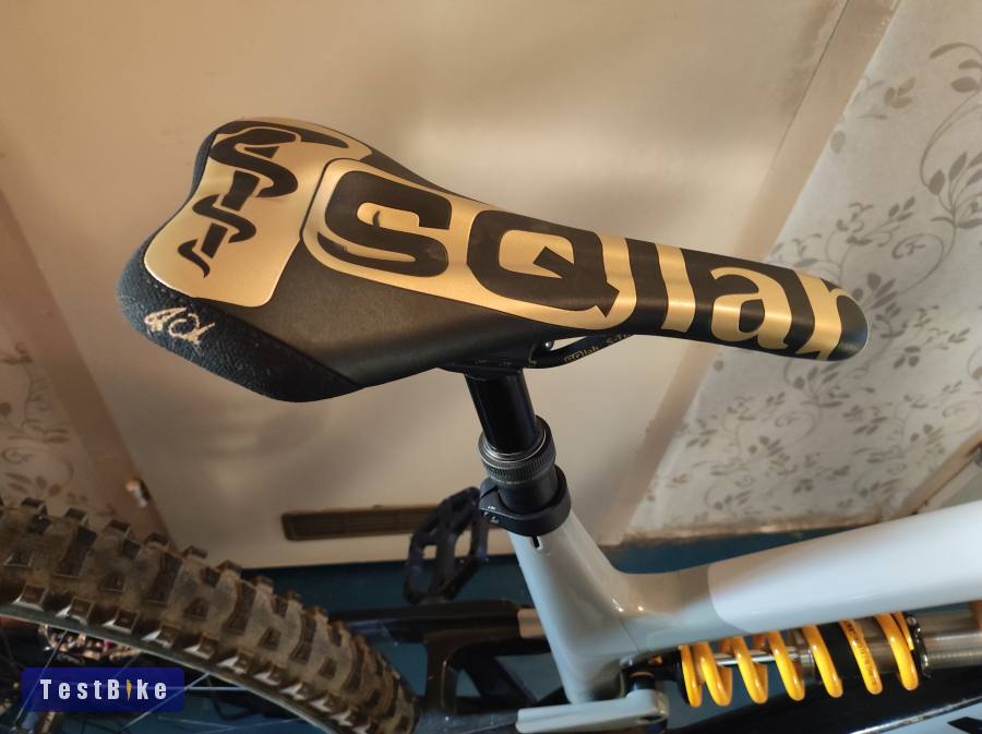 2022 Canyon Torque Mullet CF CLLCTV Fabio Wibmer "L"