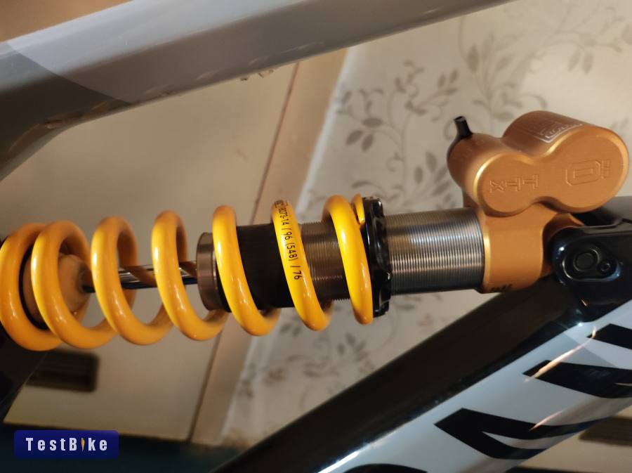 2022 Canyon Torque Mullet CF CLLCTV Fabio Wibmer "L"