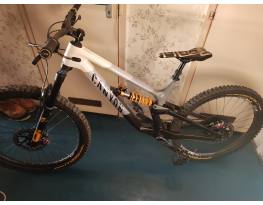 2022 Canyon Torque Mullet CF CLLCTV Fabio Wibmer "L"