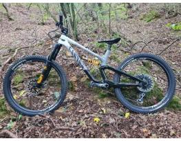 2022 Canyon Torque Mullet CF CLLCTV Fabio Wibmer "L"