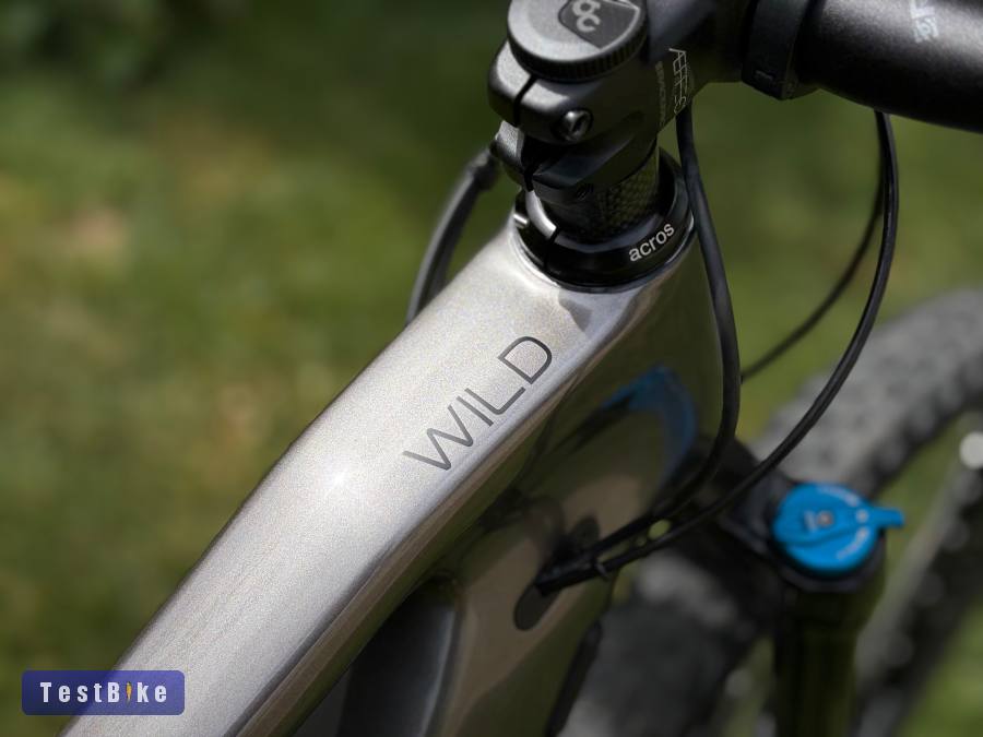 2022 Orbea Wild FS H10 "L" carbon ebike Bosch P. Line CX 