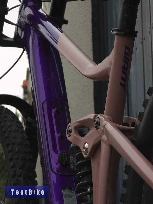 2023 Giant Reign SX mullet 