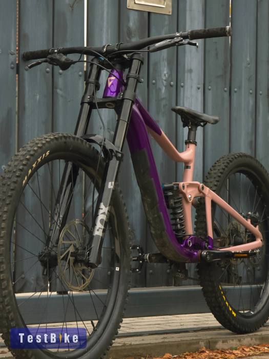 2023 Giant Reign SX mullet 