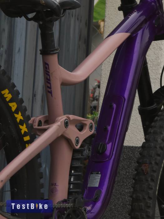 2023 Giant Reign SX mullet 
