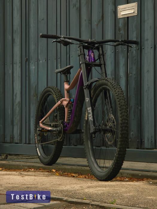2023 Giant Reign SX mullet 