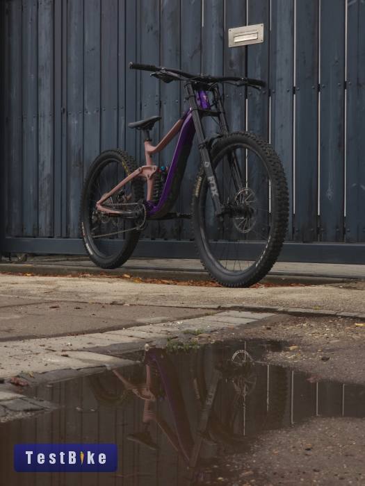2023 Giant Reign SX mullet 