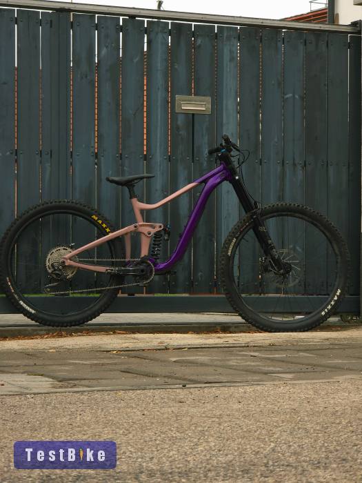 2023 Giant Reign SX mullet 