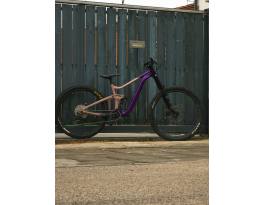 2023 Giant Reign SX mullet 