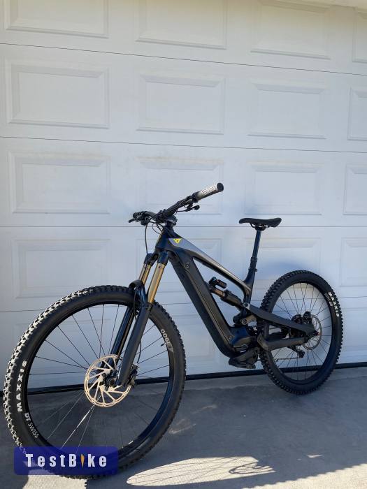 2023 YT Decoy Core 3 CF Mullet M