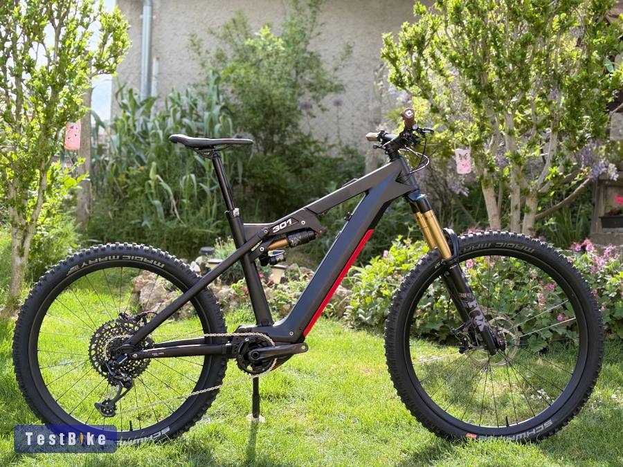 2024 Liteville 301CE Mk2 Pro "L" carbon enduro ebike 35km
