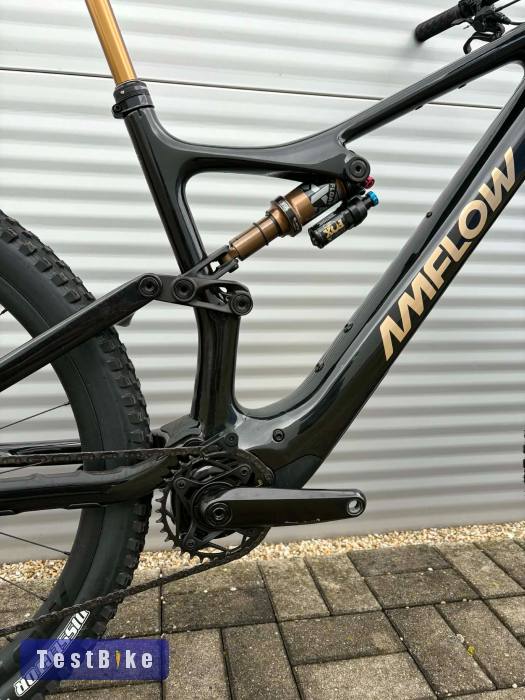 2025 AMFlow PL Carbon Pro E-Bike