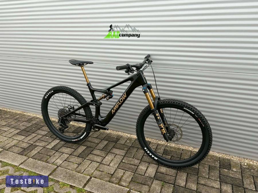 2025 AMFlow PL Carbon Pro E-Bike