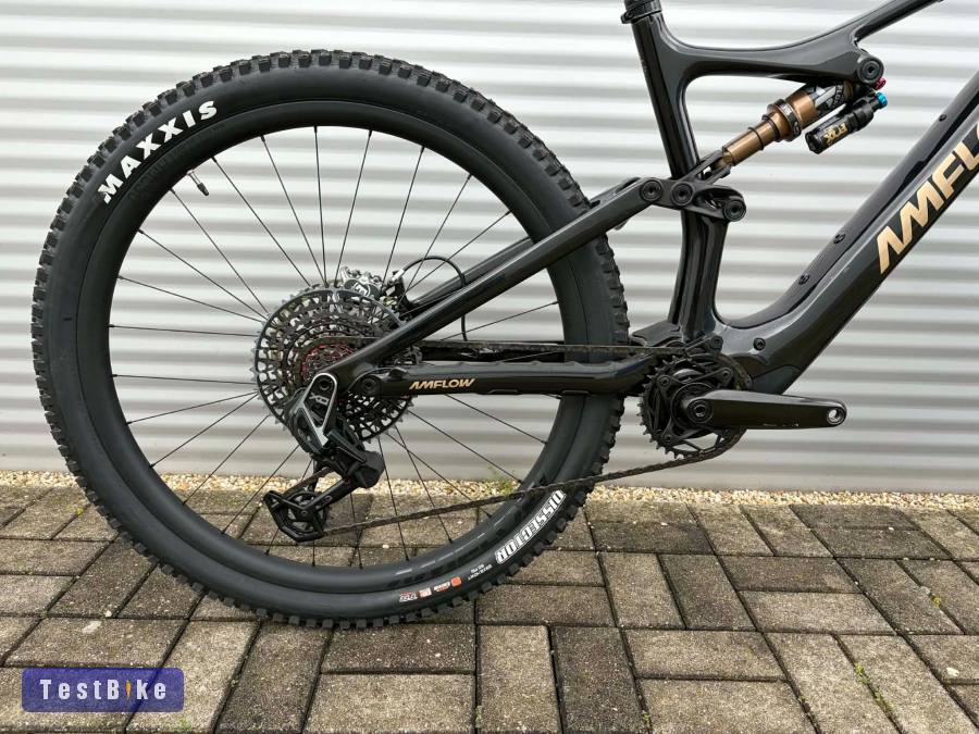 2025 AMFlow PL Carbon Pro E-Bike