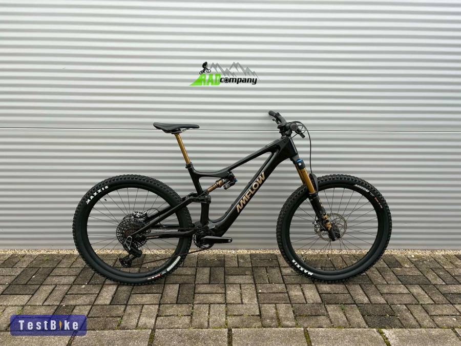 2025 AMFlow PL Carbon Pro E-Bike