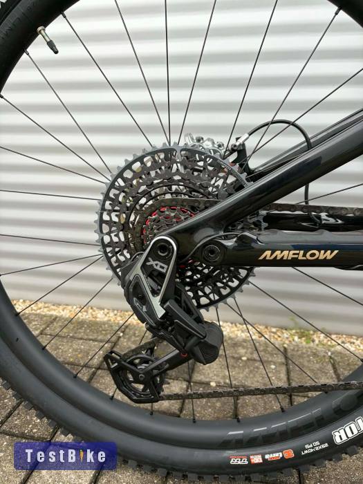 2025 AMFlow PL Carbon Pro E-Bike