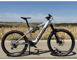 2025 Liteville 301CE Mk2 Pro "L" 20th Anniversary Edition ebike