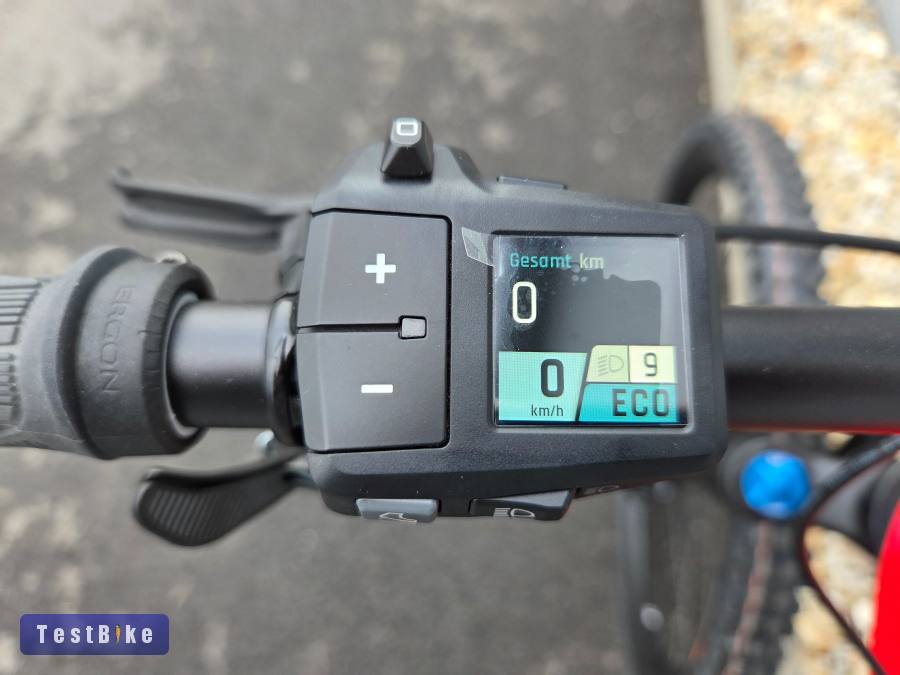 2025 Rotwild RX1000 fully ebike carbon Pinion 85Nm 1060Wh