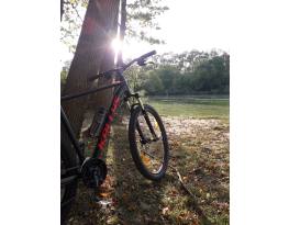 22" (XL) Kellys Spider 30 MTB eladó