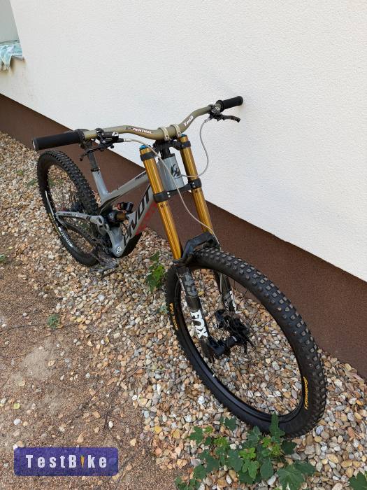 29" Pivot Phoneix L-es 