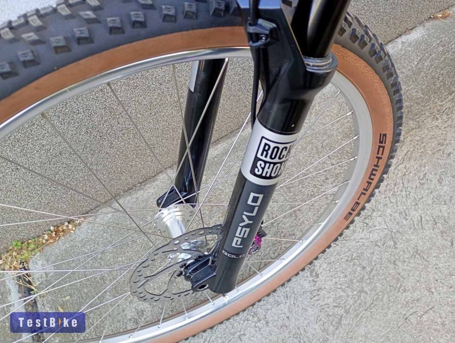 29 Santa Cruz Tallboy L