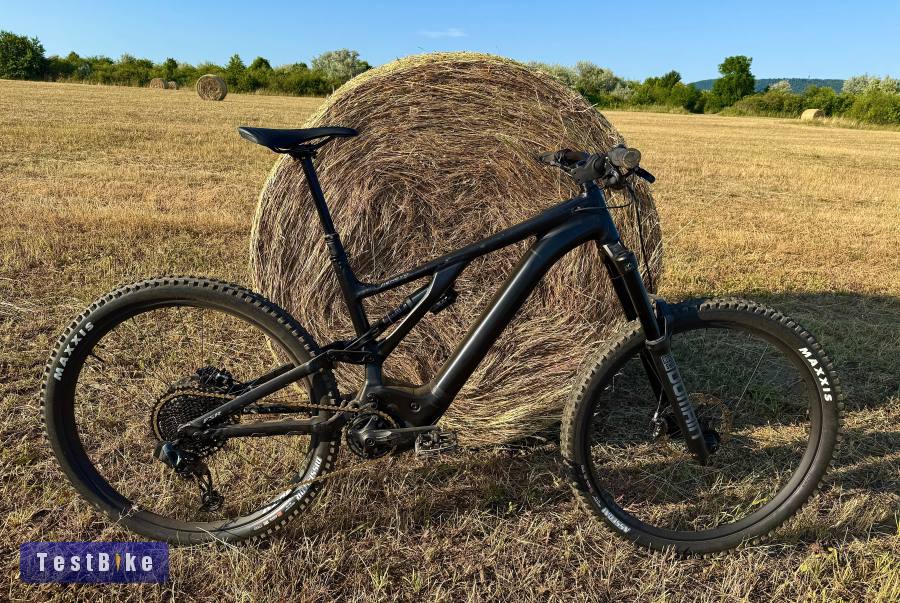29" Specialized Kenevo Expert 700wh/90nm