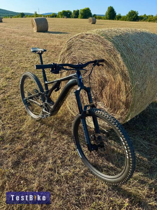 29" Specialized Kenevo Expert 700wh/90nm
