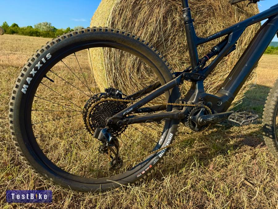 29" Specialized Kenevo Expert 700wh/90nm