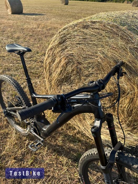 29" Specialized Kenevo Expert 700wh/90nm